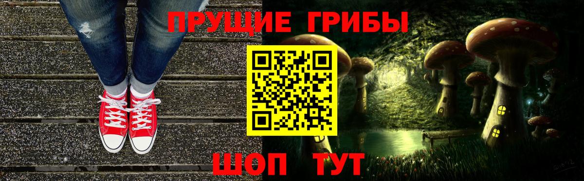 Галлюциногенные грибы MAGIC MUSHROOMS  Вход с VPN  Новый Уренгой 