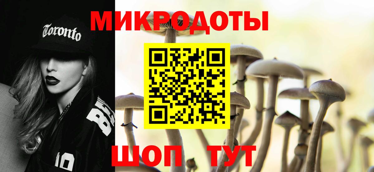 Галлюциногенные грибы Cubensis Новый Уренгой